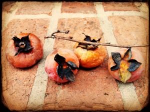 CameraAwesomePhoto (2)